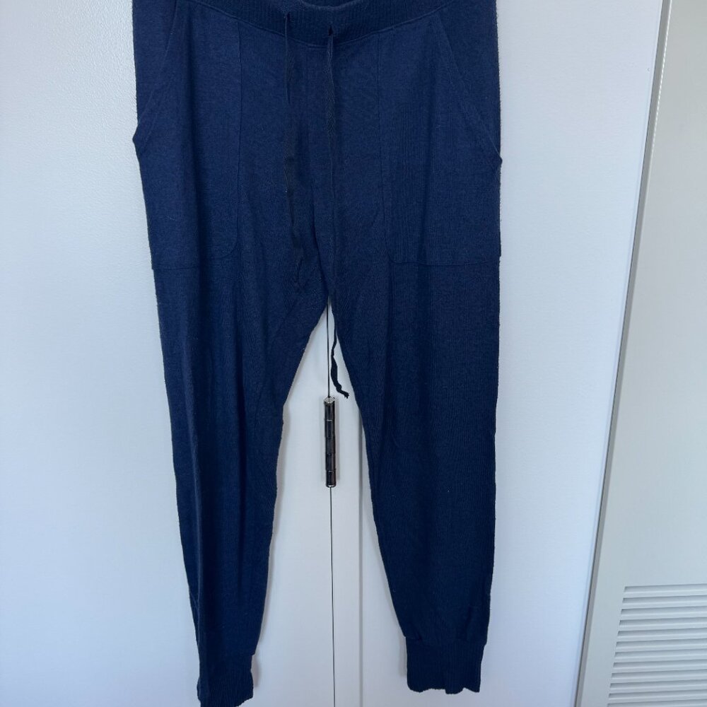 Joie Navy Cashmere Sweatpants